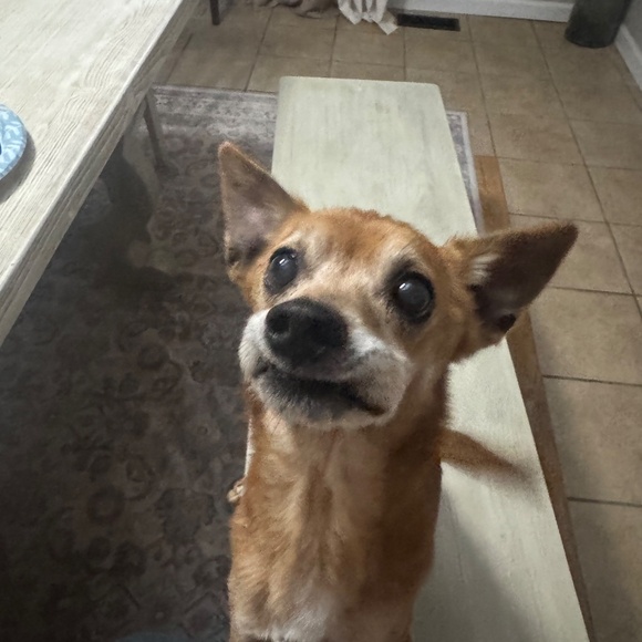 Meet your Posher, Kristen - Picture 7 of 11